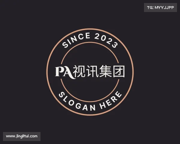 认识PA视讯集团